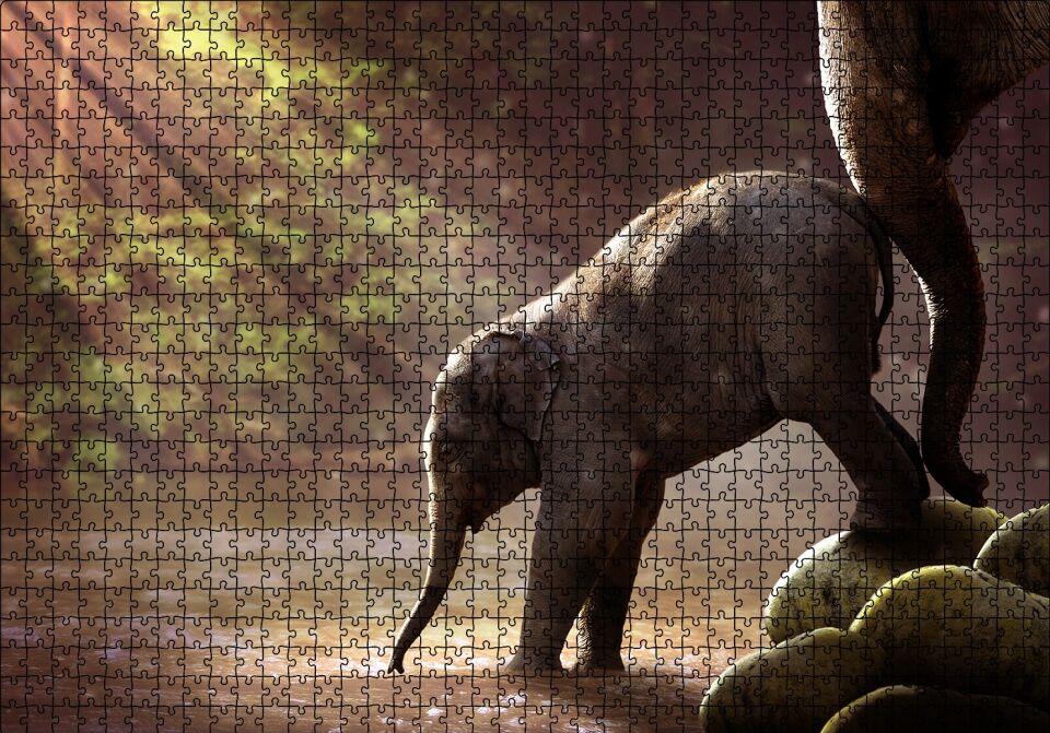 Yavru Fil Nehir ve Güneş Işınları Puzzle Yapboz MDF Ahşap 1000 Parça 49 cm X 68 cm