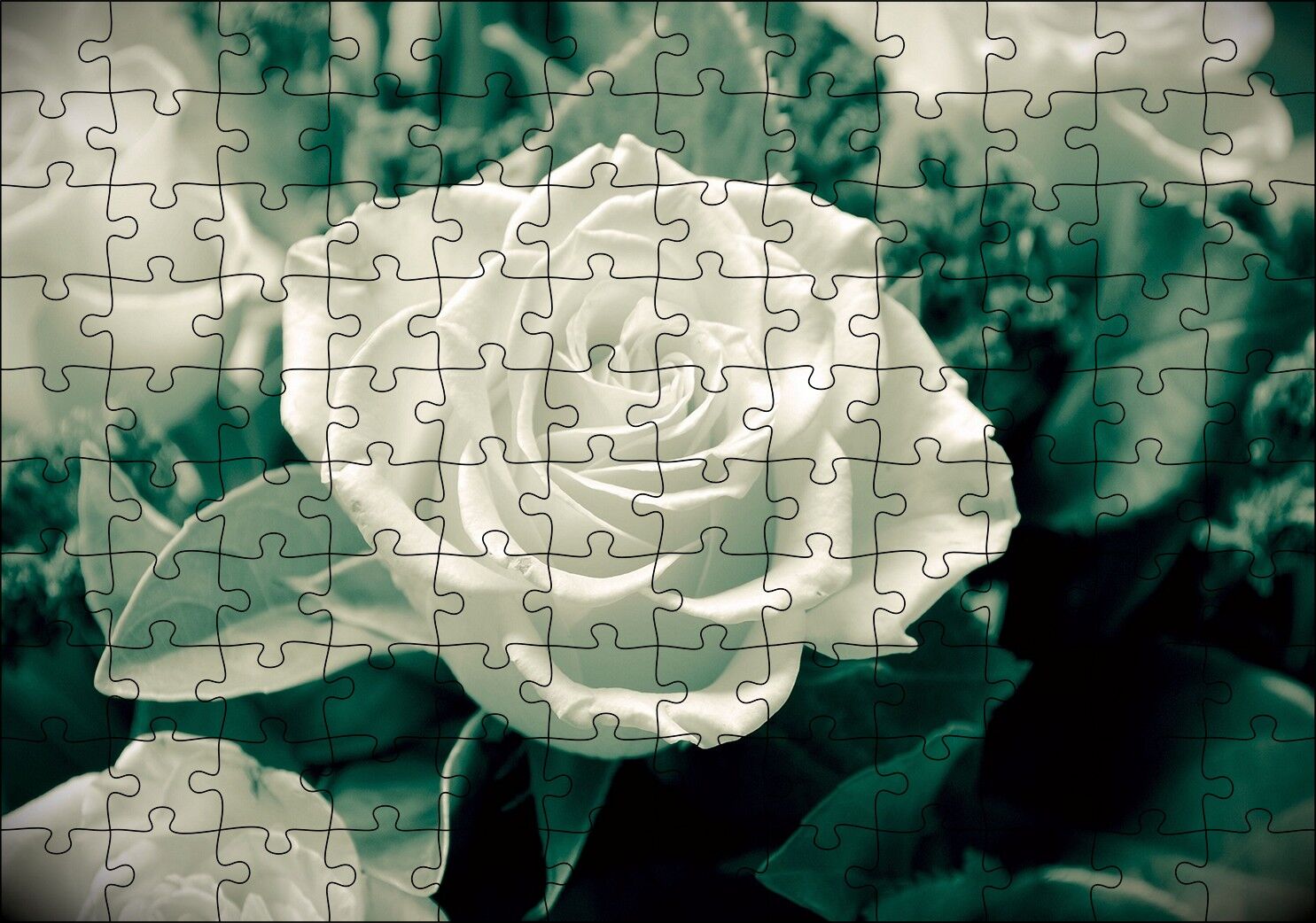 Beyaz Güller Görseli Puzzle Yapboz MDF Ahşap 120 Parça 24 cm X 34 cm