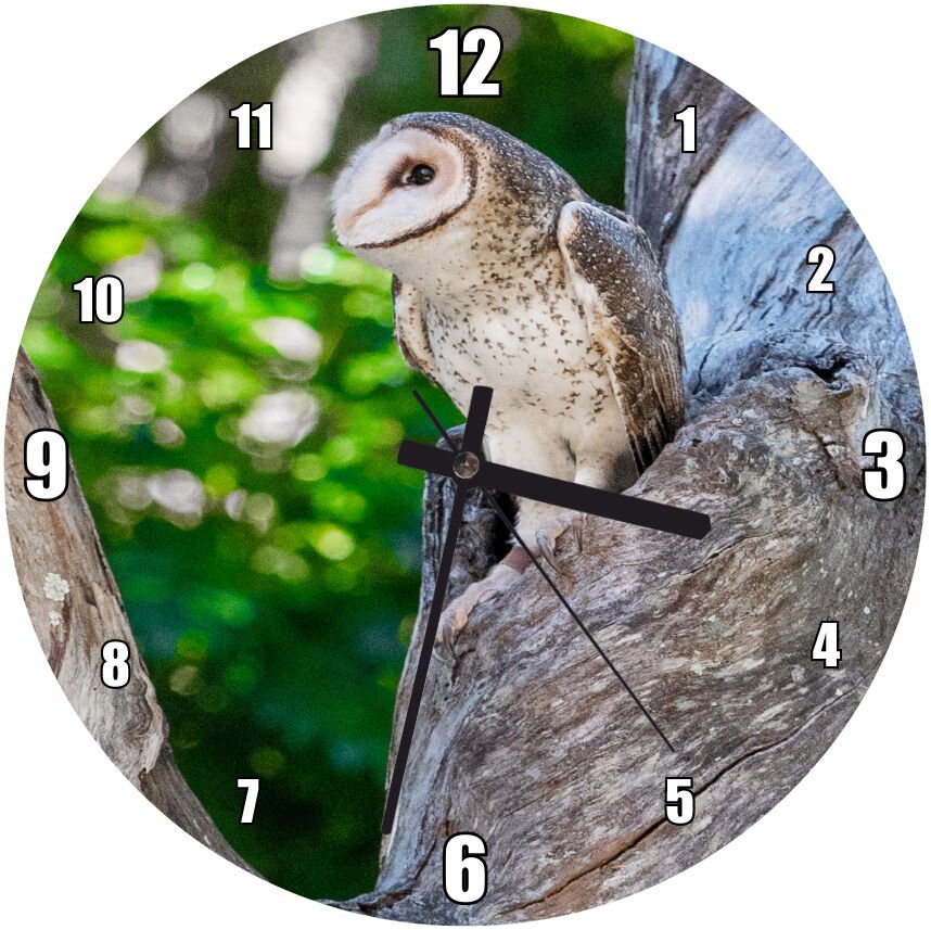 Ağaç Gövdesinde Kar Baykuşu  Mdf Ahşap Duvar Saati