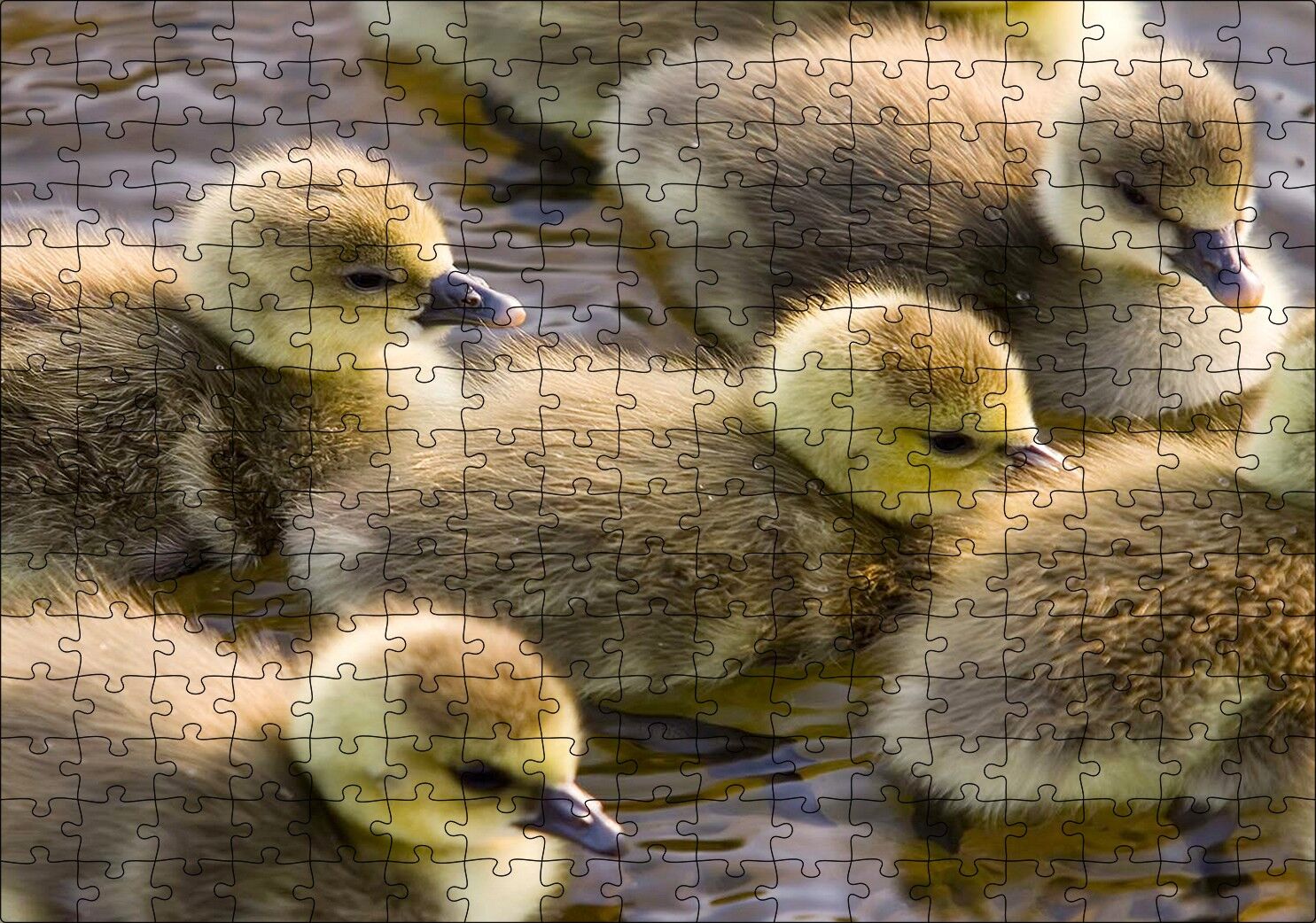 Gölde Yüzen Sarı Ördek Yavruları Puzzle Yapboz MDF Ahşap 255 Parça 34 cm X 49 cm