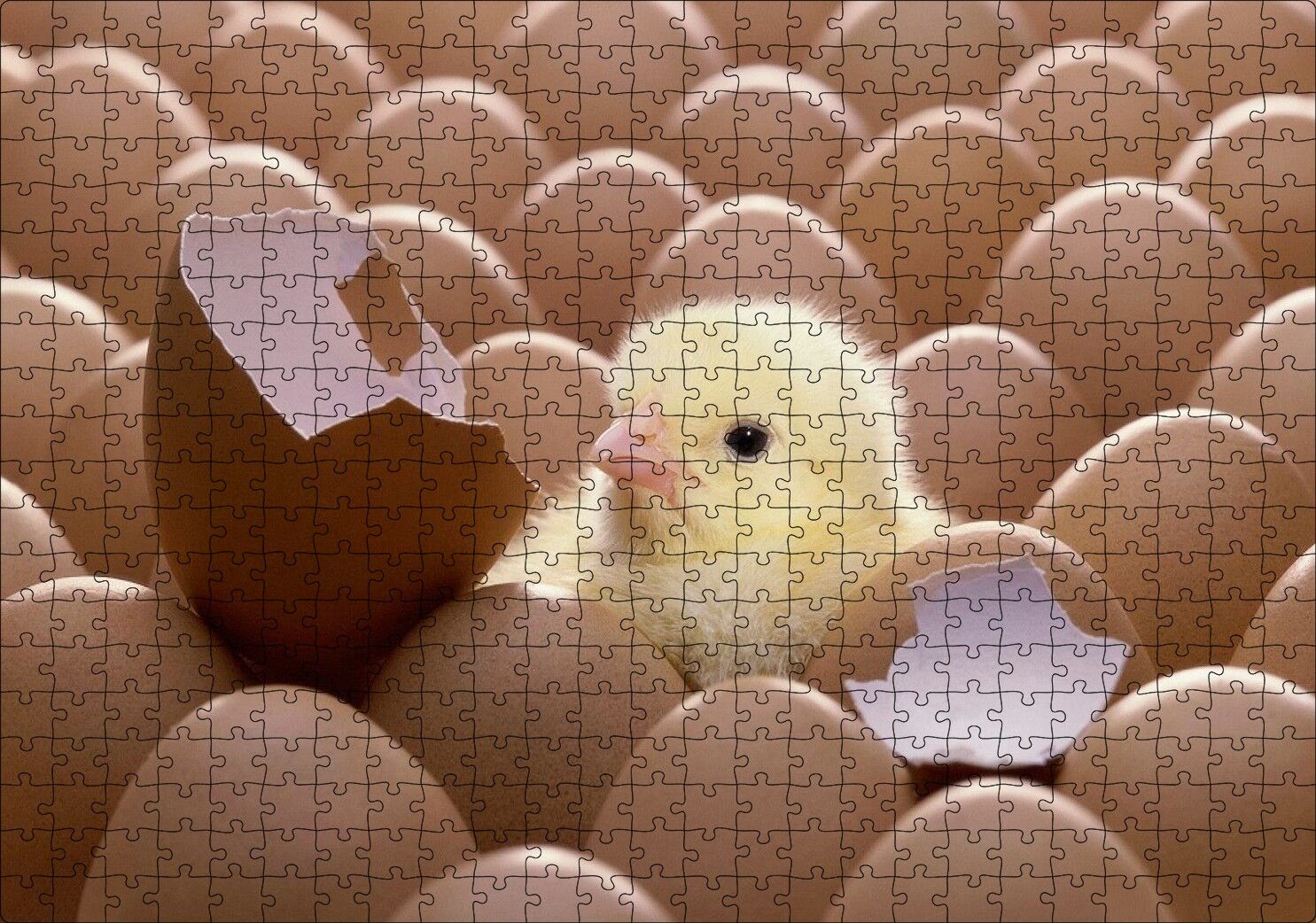 Yumurtalar Ve Kırık Yumurta İle Sarı Civciv Puzzle Yapboz MDF Ahşap 500 Parça 49 cm X 68 cm