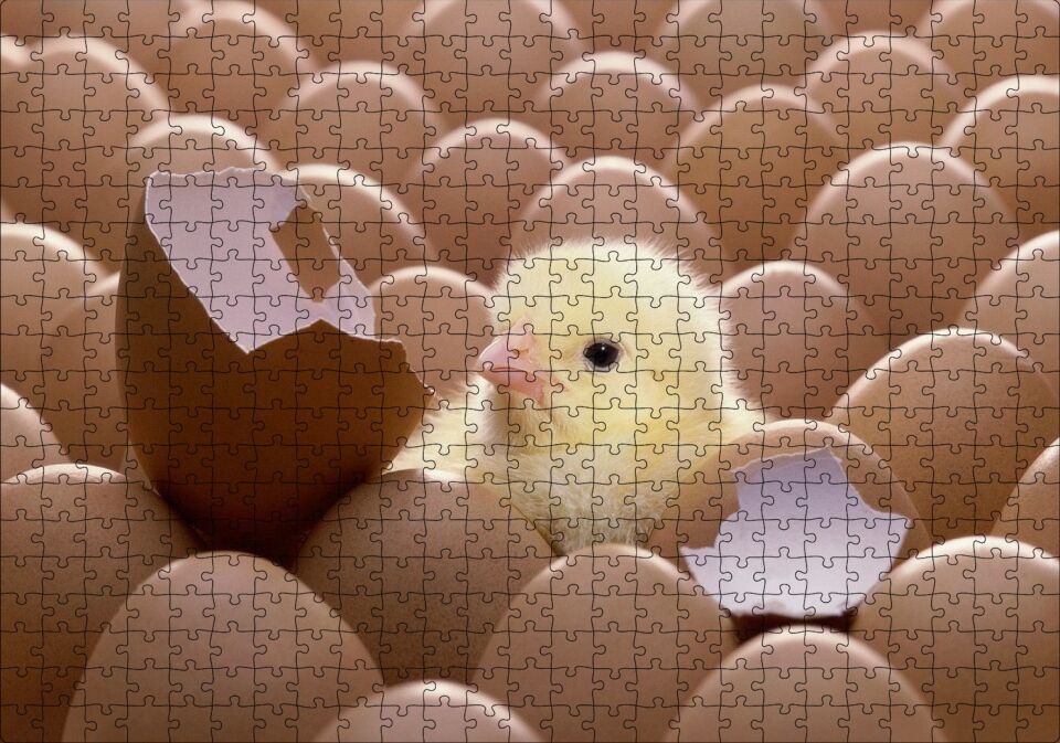 Yumurtalar Ve Kırık Yumurta İle Sarı Civciv Puzzle Yapboz MDF Ahşap 500 Parça 49 cm X 68 cm