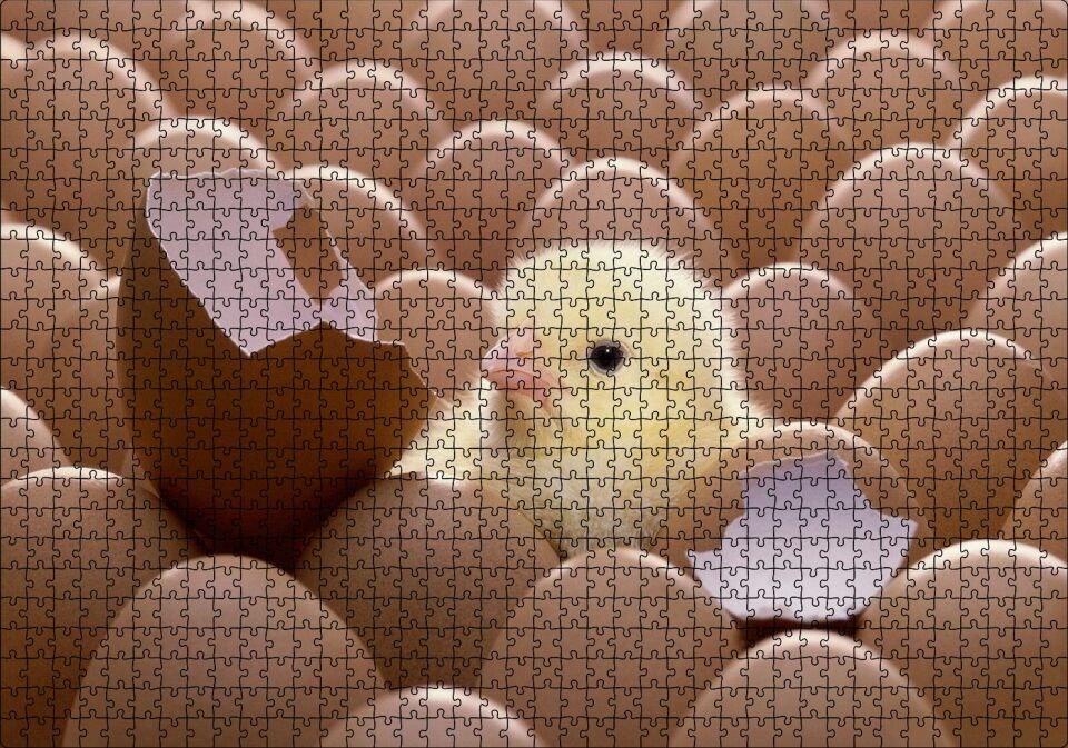 Yumurtalar Ve Kırık Yumurta İle Sarı Civciv Puzzle Yapboz MDF Ahşap 1000 Parça 49 cm X 68 cm