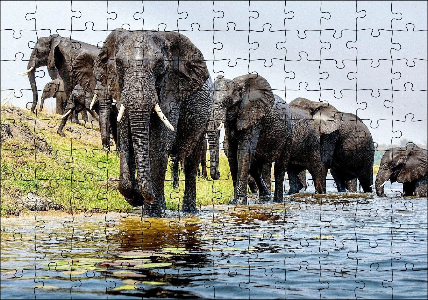 Nehir Kenarında Filler Puzzle Yapboz MDF Ahşap 120 Parça 24 cm X 34 cm