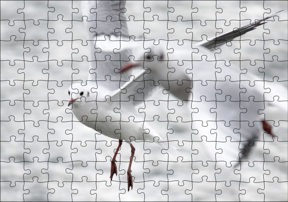 İki Martı Yakın Çekim Flu Deniz Arka Plan Puzzle Yapboz MDF Ahşap 120 Parça 24 cm X 34 cm