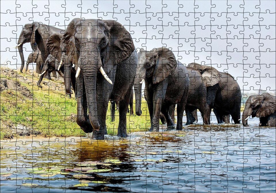 Nehir Kenarında Filler Puzzle Yapboz MDF Ahşap 255 Parça 34 cm X 49 cm