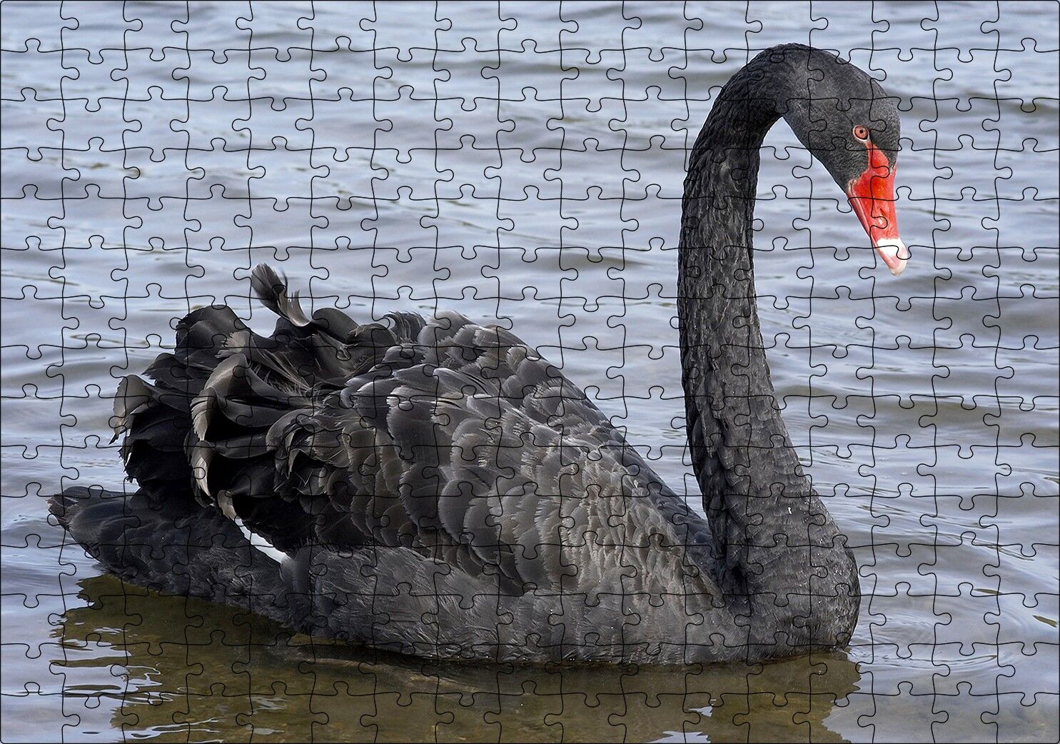 Göldeki İhtişamlı Siyah Kuğu Puzzle Yapboz MDF Ahşap 255 Parça 34 cm X 49 cm