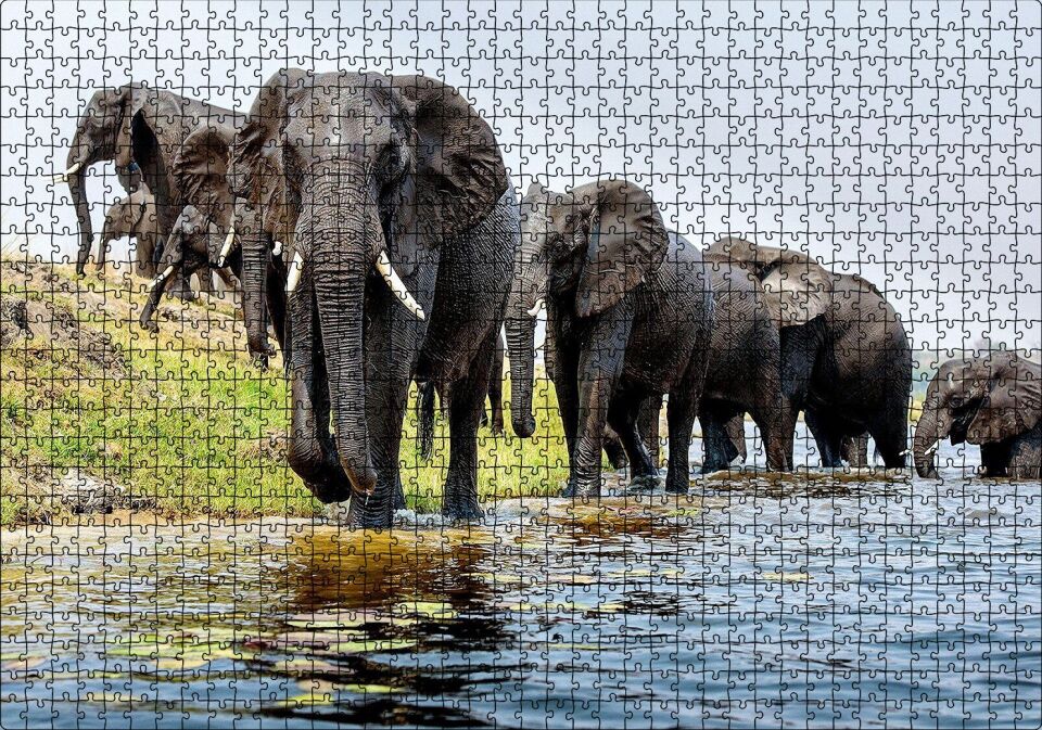Nehir Kenarında Filler Puzzle Yapboz MDF Ahşap 1000 Parça 49 cm X 68 cm
