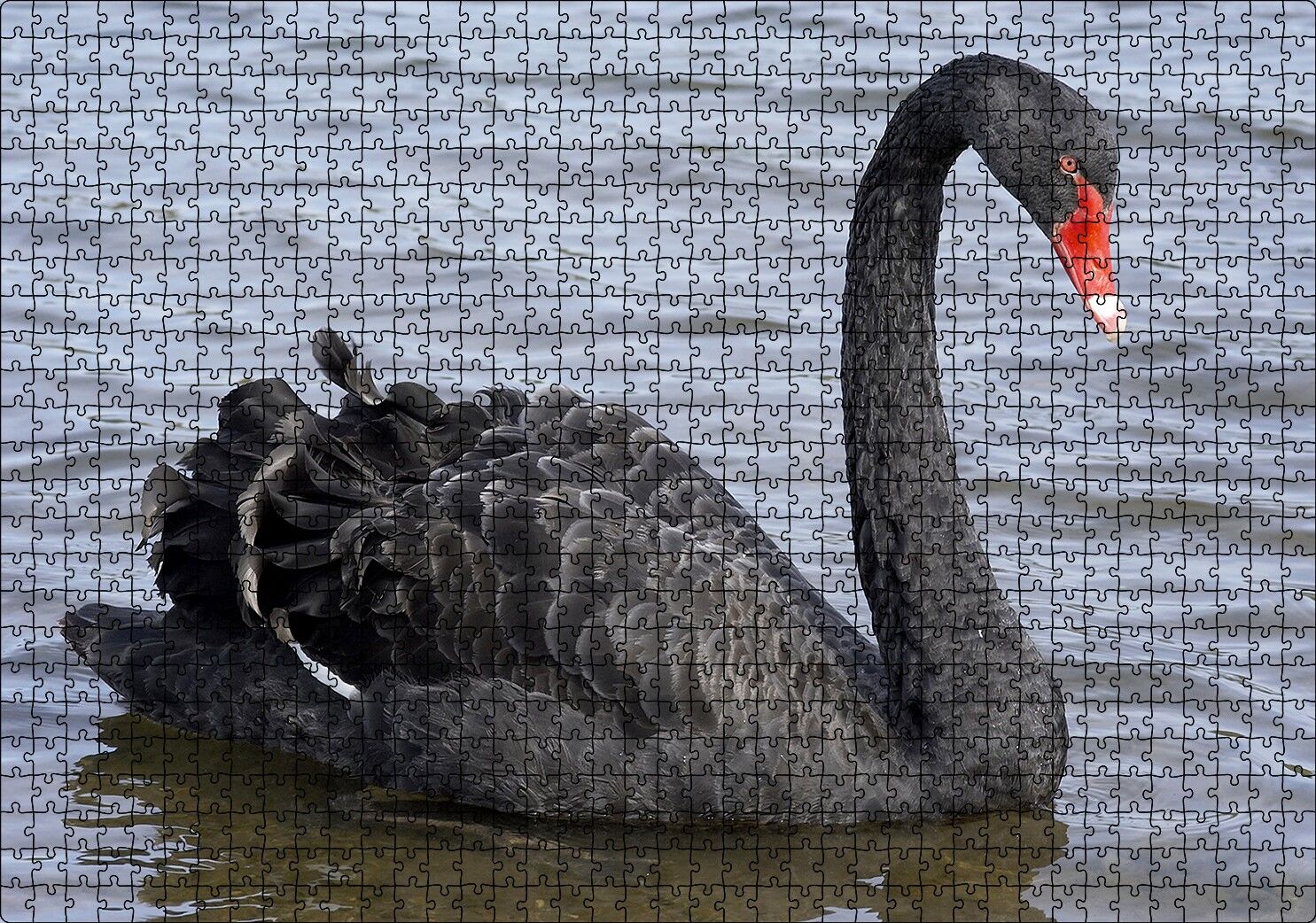 Göldeki İhtişamlı Siyah Kuğu Puzzle Yapboz MDF Ahşap 1000 Parça 49 cm X 68 cm