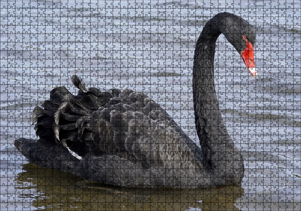Göldeki İhtişamlı Siyah Kuğu Puzzle Yapboz MDF Ahşap 1000 Parça 49 cm X 68 cm