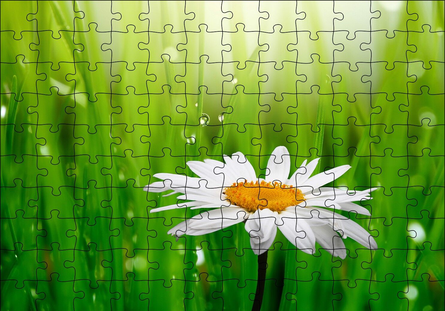 Yeşil Çimenler Papatya ve Su Damlaları Puzzle Yapboz MDF Ahşap 120 Parça 24 cm X 34 cm