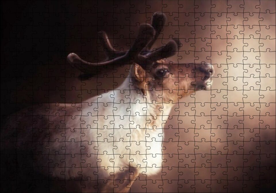 Beyaz Kahve Rengi Geyik Görseli Puzzle Yapboz MDF Ahşap 255 Parça 34 cm X 49 cm