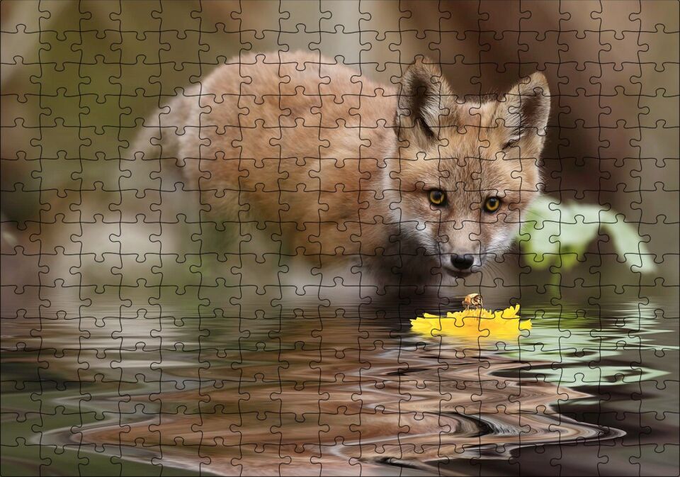 Göldeki Sarı Çiçeği İzleyen Yavru Tilki Puzzle Yapboz MDF Ahşap 255 Parça 34 cm X 49 cm