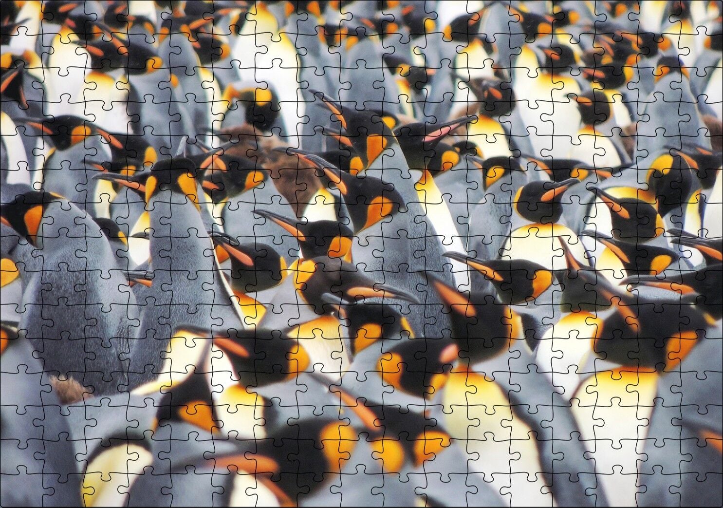 İmpataror Penguenleri Bir Arada Puzzle Yapboz MDF Ahşap 255 Parça 34 cm X 49 cm
