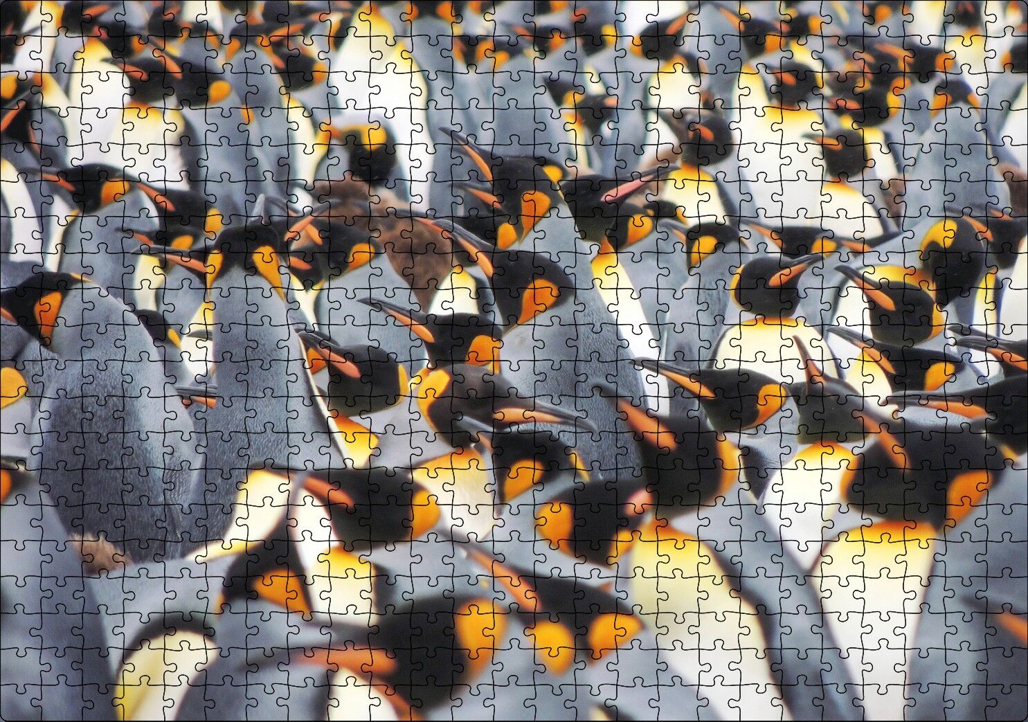 İmpataror Penguenleri Bir Arada Puzzle Yapboz MDF Ahşap 500 Parça 49 cm X 68 cm