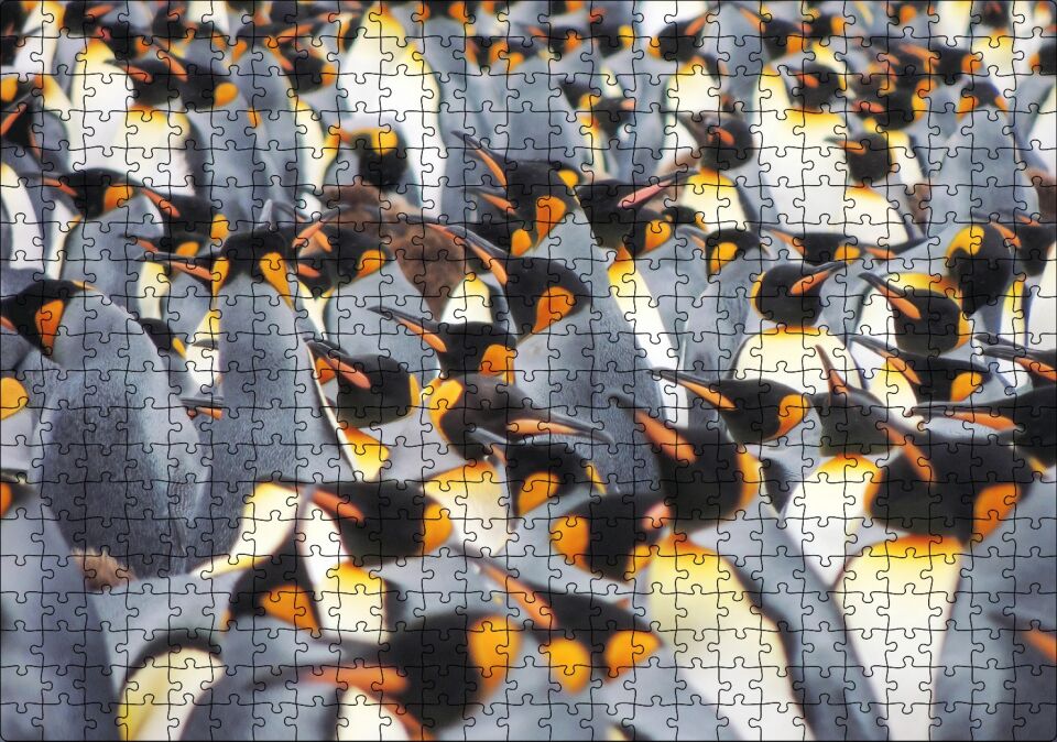 İmpataror Penguenleri Bir Arada Puzzle Yapboz MDF Ahşap 500 Parça 49 cm X 68 cm
