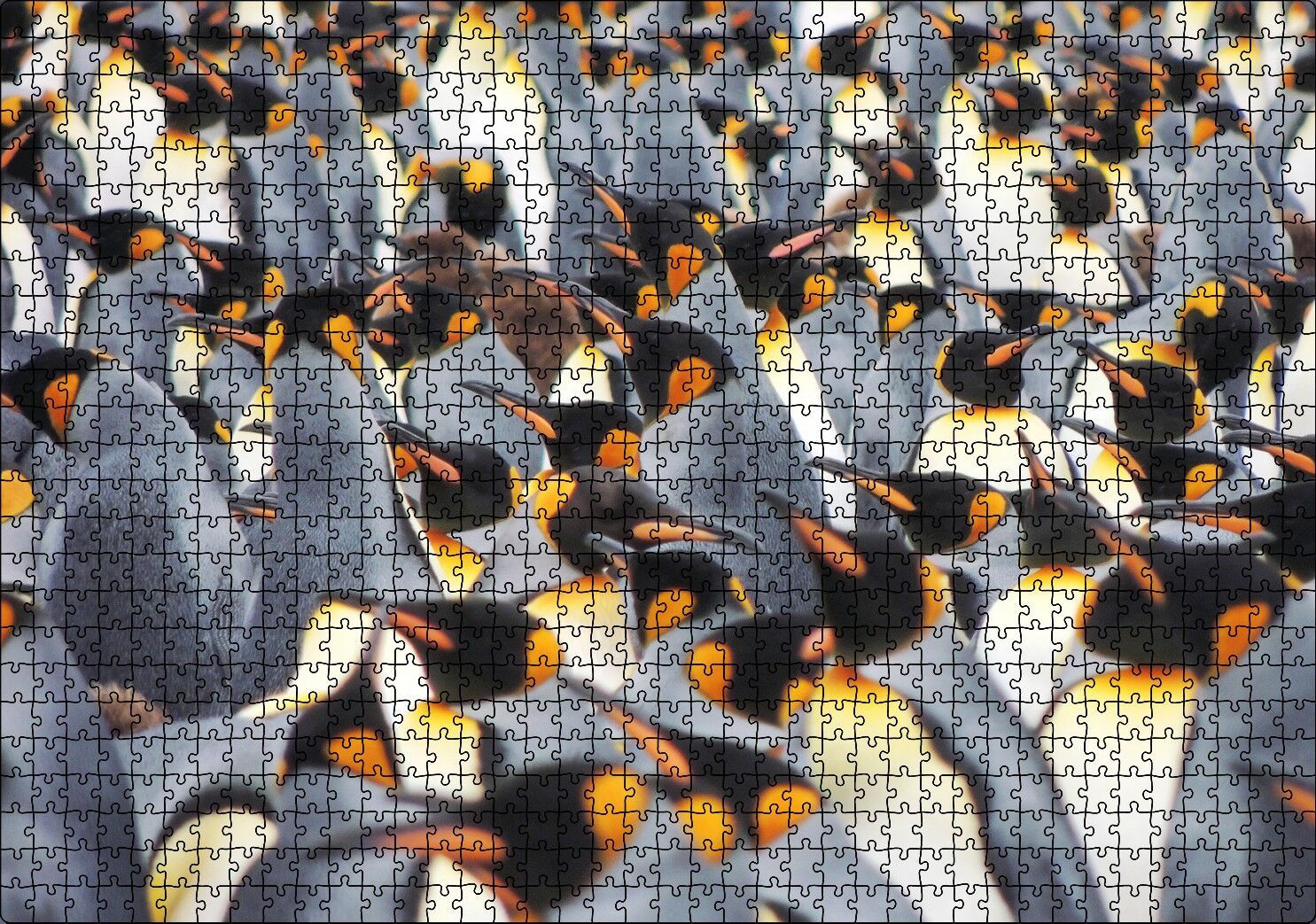 İmpataror Penguenleri Bir Arada Puzzle Yapboz MDF Ahşap 1000 Parça 49 cm X 68 cm