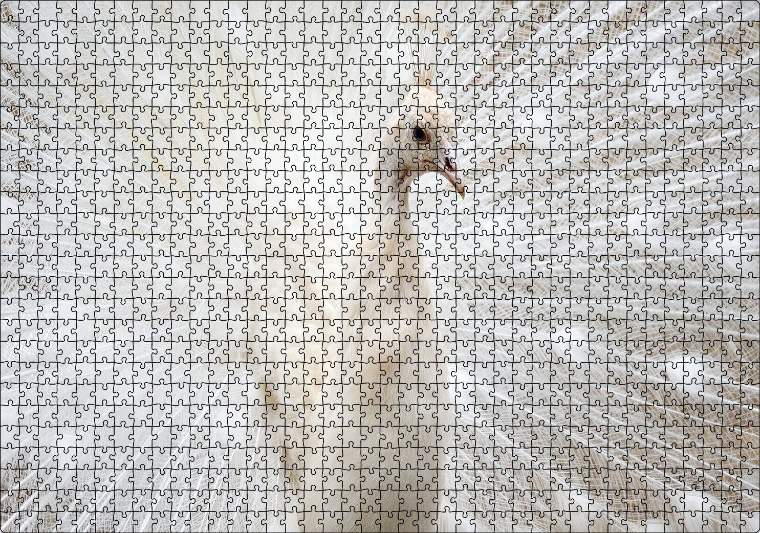 Beyaz Tavus Kuşu Görseli Puzzle Yapboz MDF Ahşap 1000 Parça 49 cm X 68 cm
