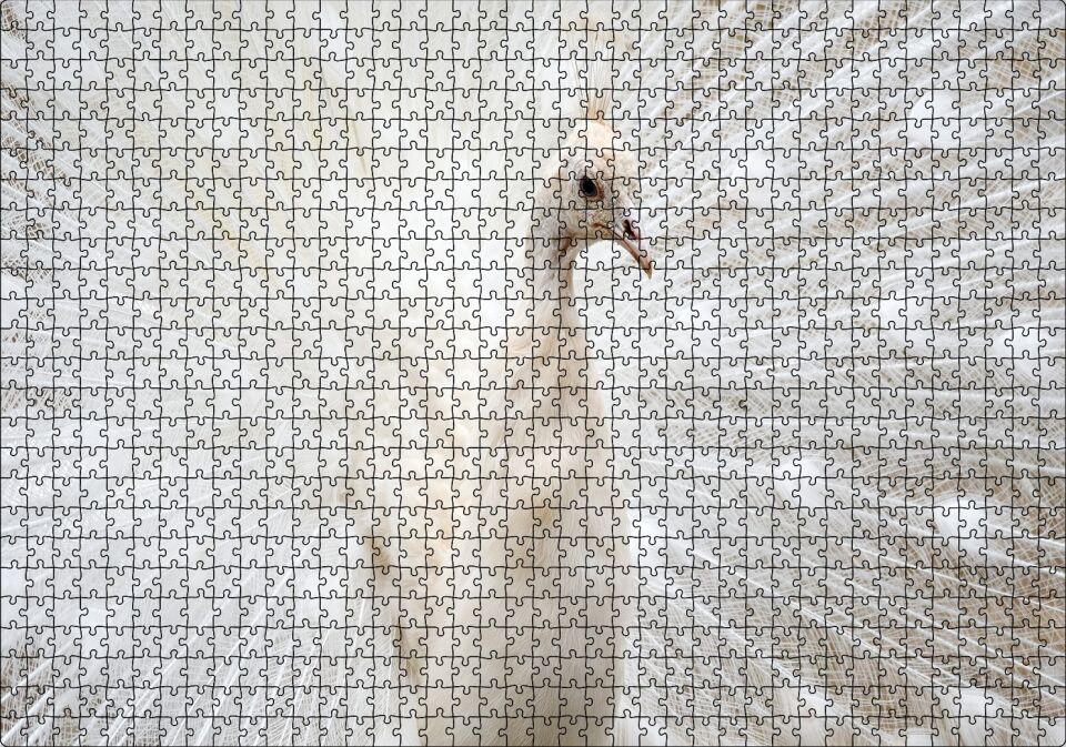 Beyaz Tavus Kuşu Görseli Puzzle Yapboz MDF Ahşap 1000 Parça 49 cm X 68 cm