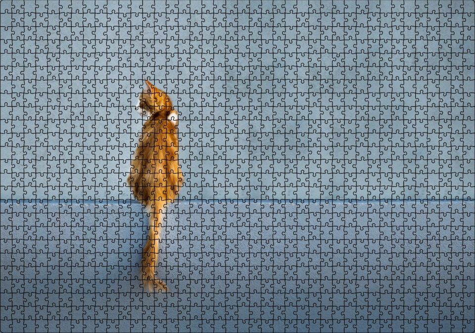 Mavi Duvar Önündeki Sarı Kedi Puzzle Yapboz MDF Ahşap 1000 Parça 49 cm X 68 cm