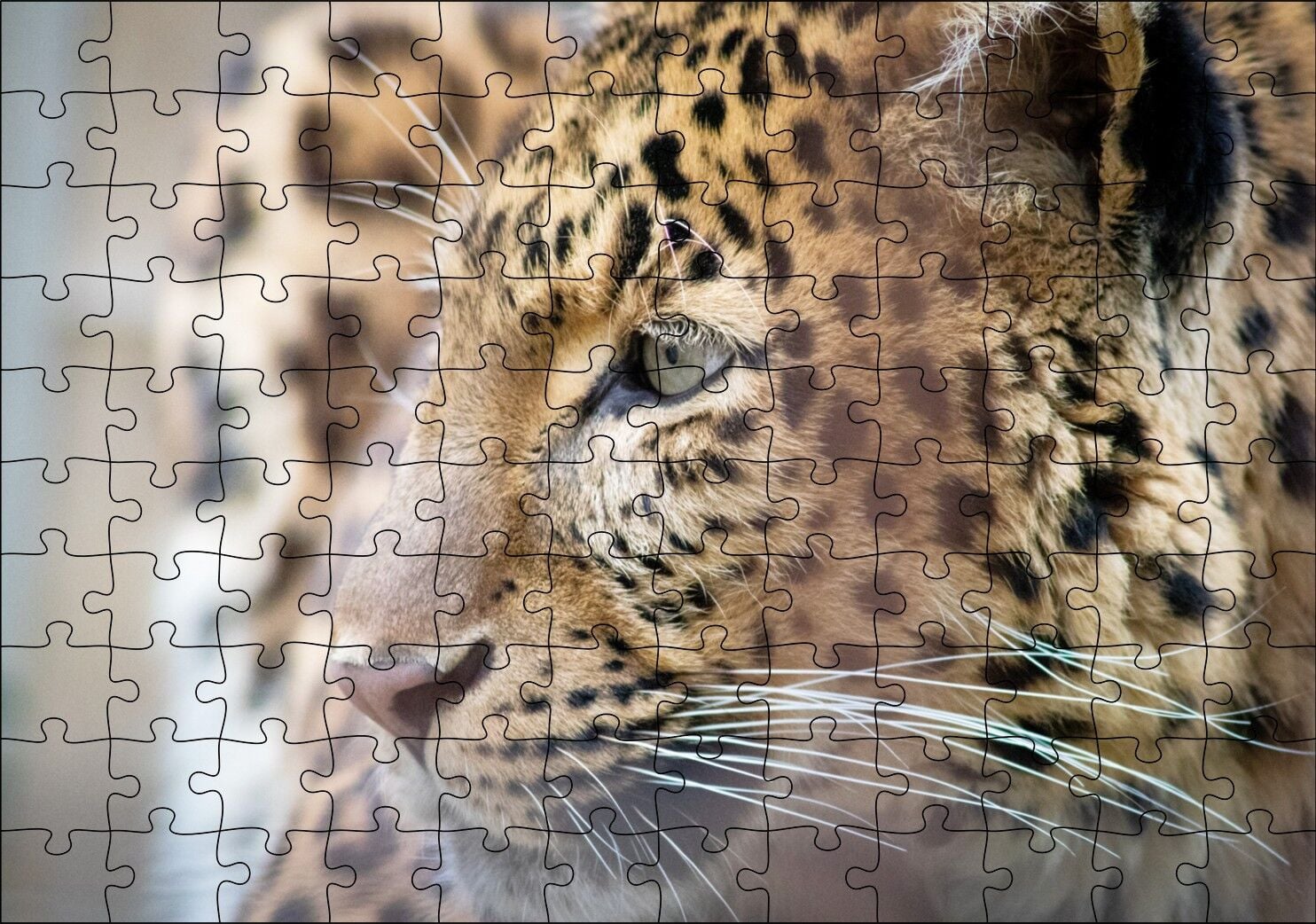 Muhteşem Güzellikteki Leopar Yakın Çekim Puzzle Yapboz MDF Ahşap 120 Parça 24 cm X 34 cm
