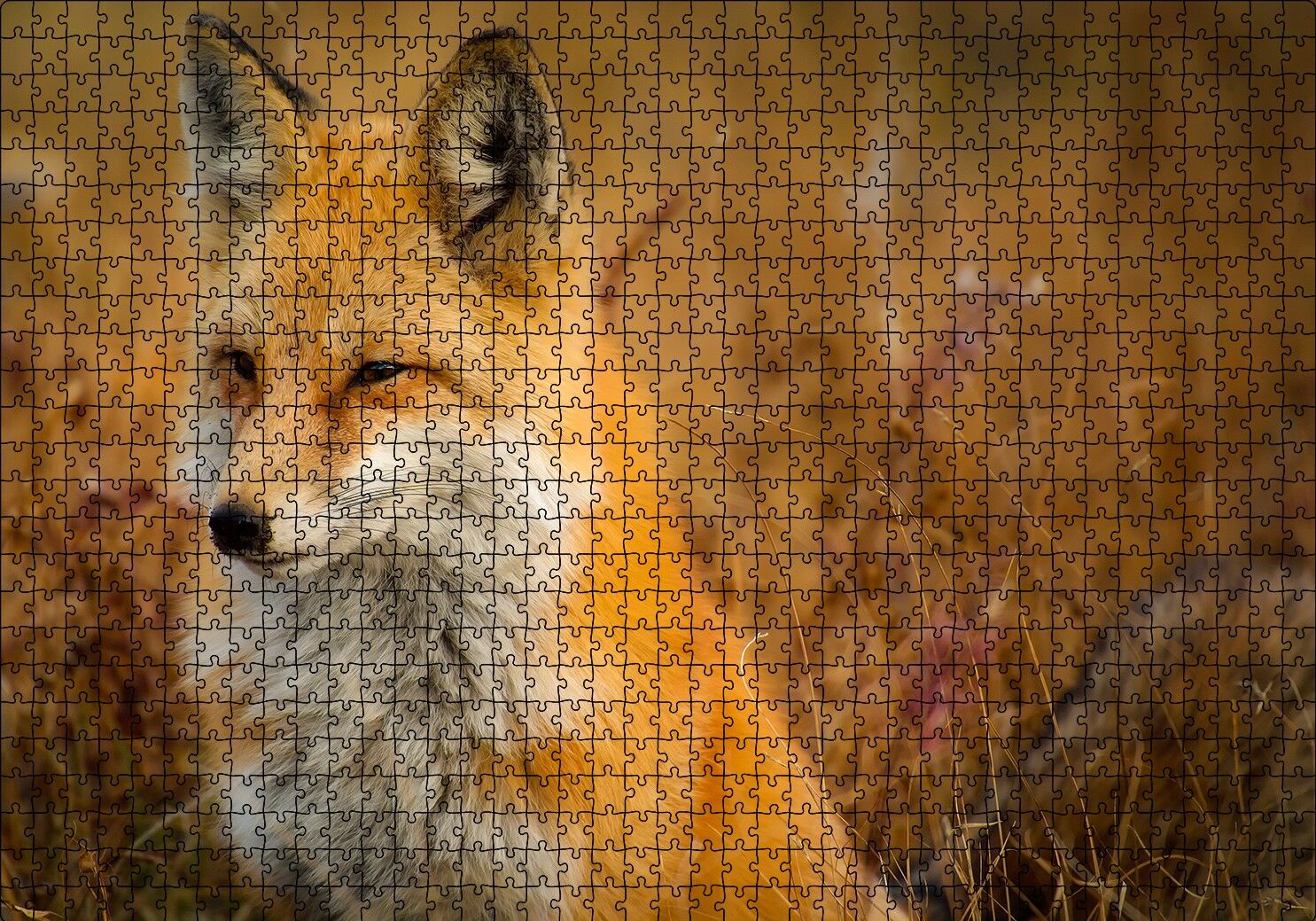Kahverengi Tilki ve Çayırlar Puzzle Yapboz MDF Ahşap 1000 Parça 49 cm X 68 cm