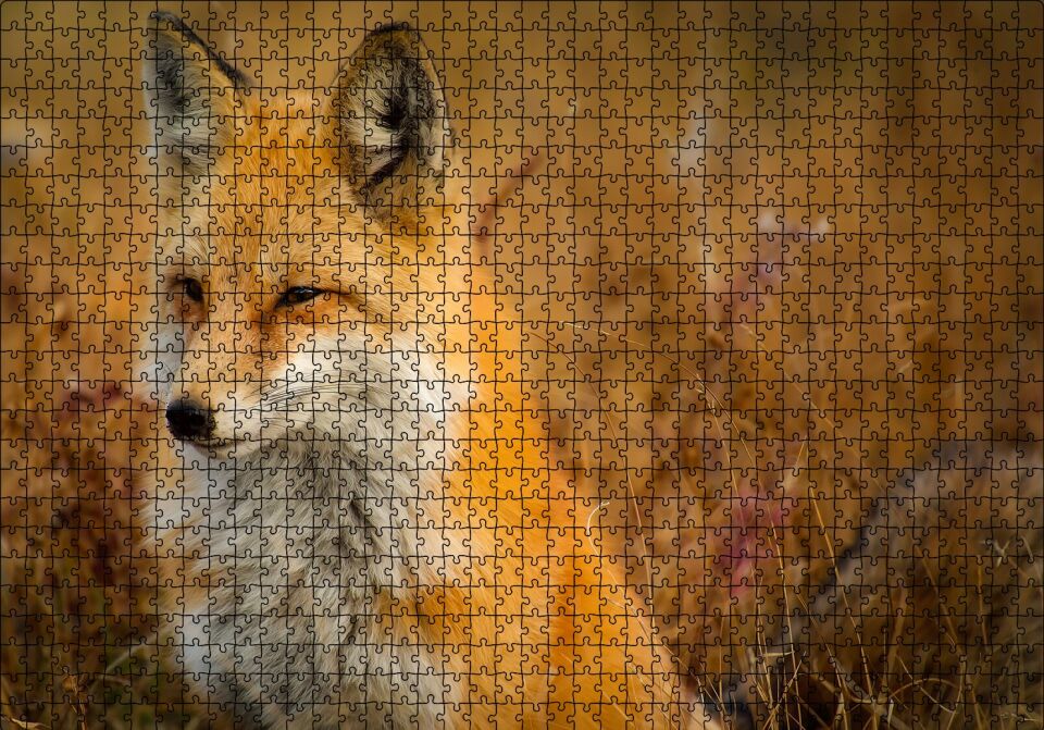 Kahverengi Tilki ve Çayırlar Puzzle Yapboz MDF Ahşap 1000 Parça 49 cm X 68 cm