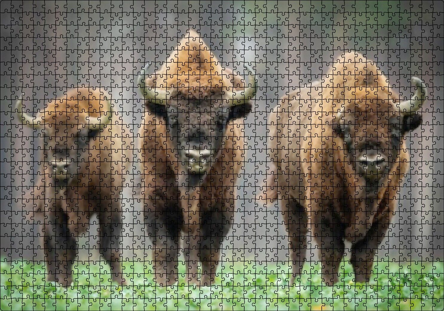 Bieszczady Bizonu Görseli Puzzle Yapboz MDF Ahşap 1000 Parça 49 cm X 68 cm