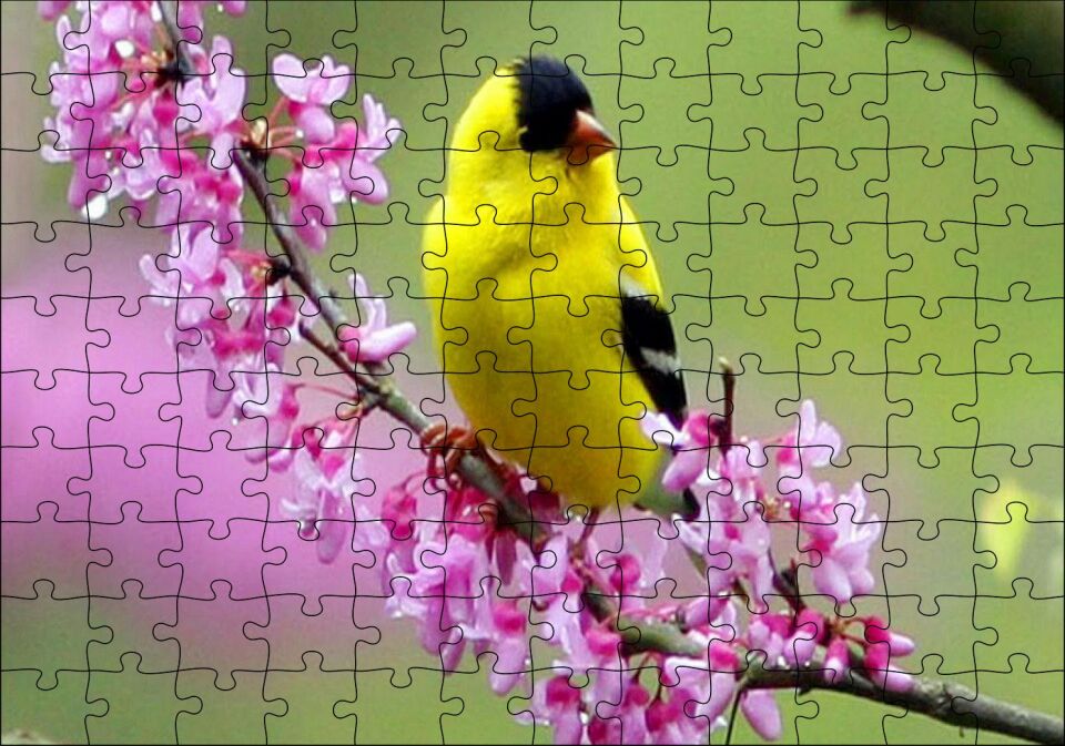 Pembe Çiçekli Dalda Sarı Siyah Kuş Puzzle Yapboz MDF Ahşap 120 Parça 24 cm X 34 cm