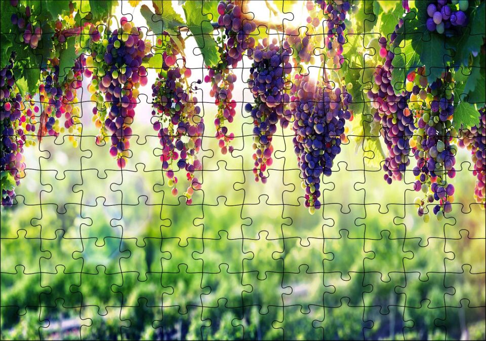 Asma Üzümü Kırmızı Üzüm Görseli Puzzle Yapboz MDF Ahşap 120 Parça 24 cm X 34 cm
