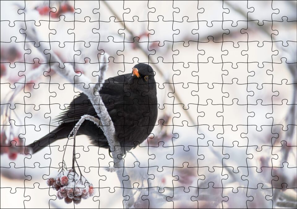 Karlı Dalların Üzerindeki Karatavuk Puzzle Yapboz MDF Ahşap