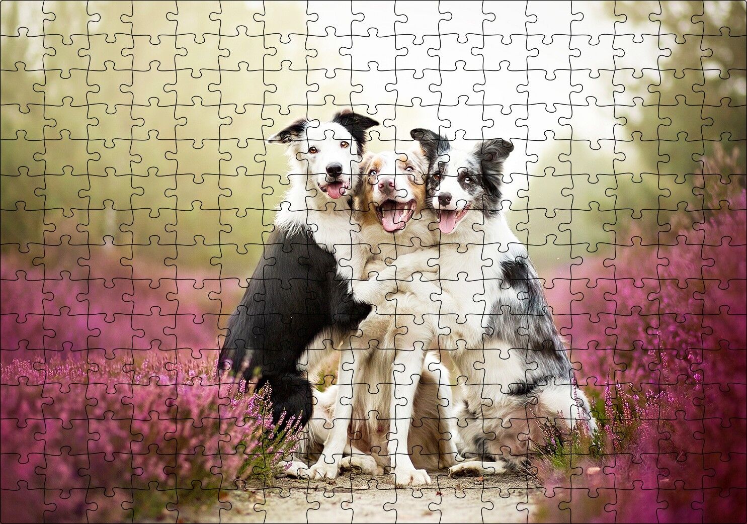 Gülerek Poz Veren Sevimli Köpekler ve Çiçekler Puzzle Yapboz MDF Ahşap 255 Parça 34 cm X 49 cm