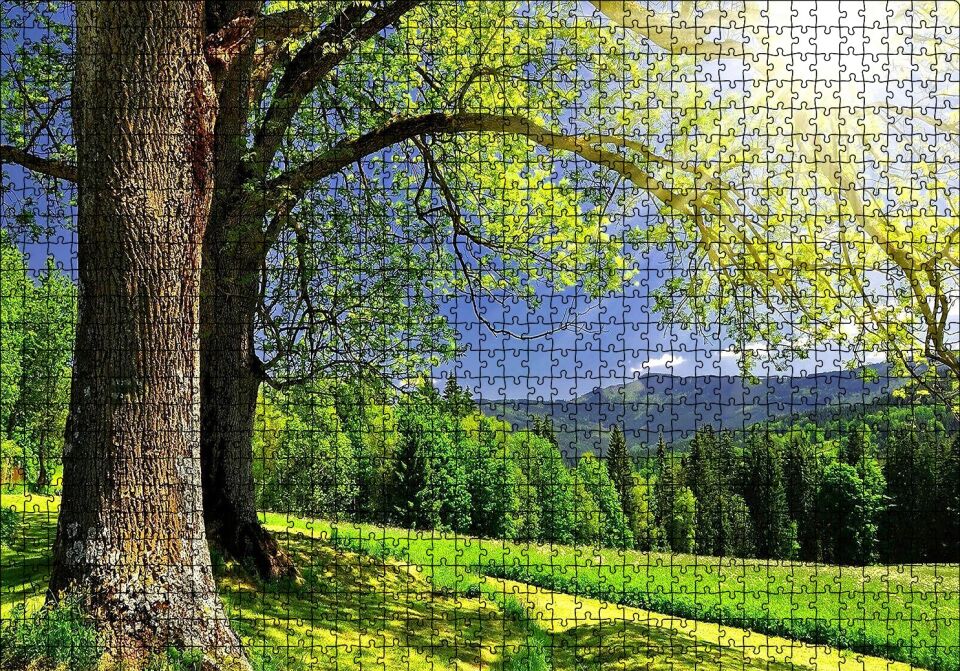 Yemyeşil Ağaçlar ve Güneş Işıkları Puzzle Yapboz MDF Ahşap 1000 Parça 49 cm X 68 cm