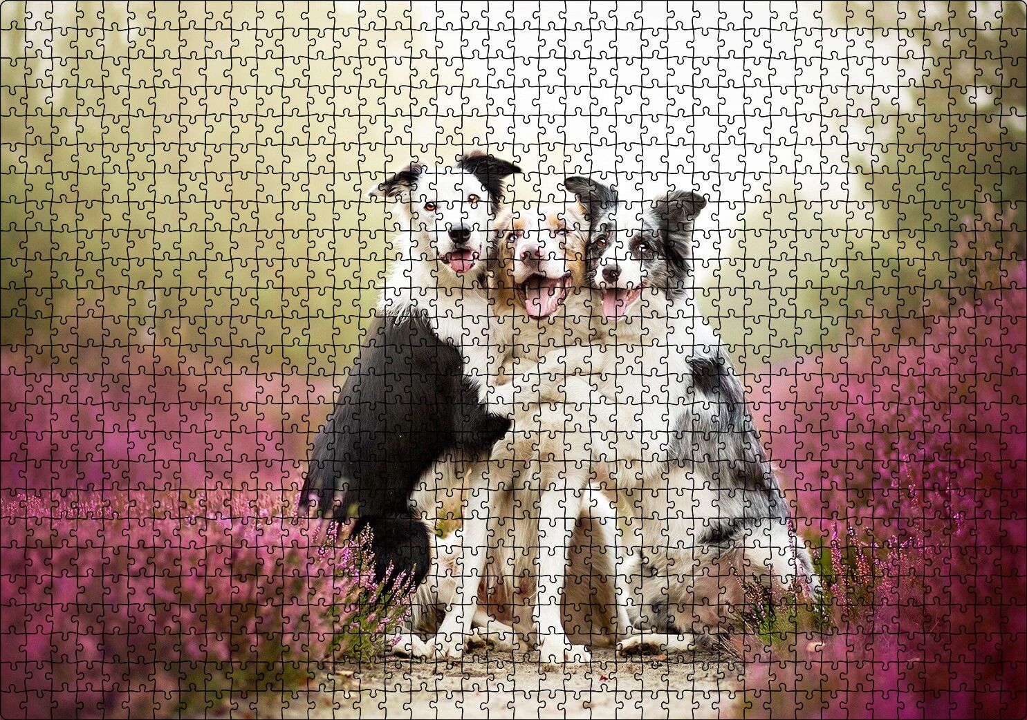 Gülerek Poz Veren Sevimli Köpekler ve Çiçekler Puzzle Yapboz MDF Ahşap 1000 Parça 49 cm X 68 cm