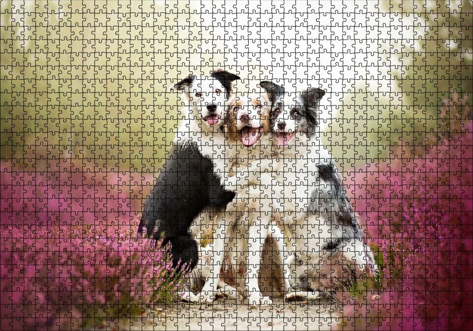 Gülerek Poz Veren Sevimli Köpekler ve Çiçekler Puzzle Yapboz MDF Ahşap 1000 Parça 49 cm X 68 cm