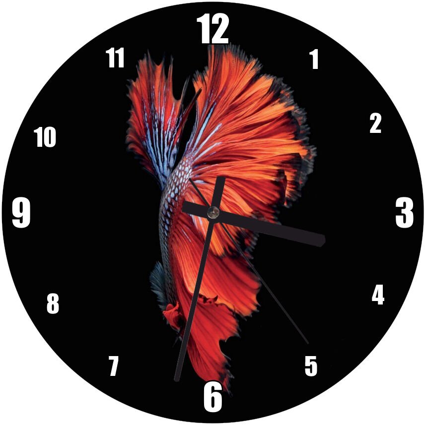 Siyah Arkaplan Beta ve Rengarenk Kuyruğu  Mdf Ahşap Duvar Saati