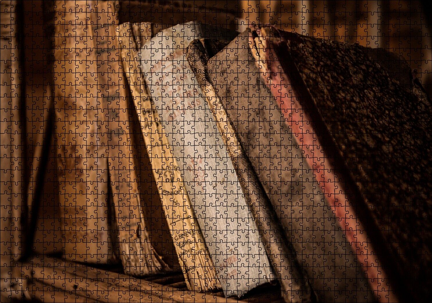 Rafta Eski Antika Kitaplar Puzzle Yapboz MDF Ahşap 1000 Parça 49 cm X 68 cm