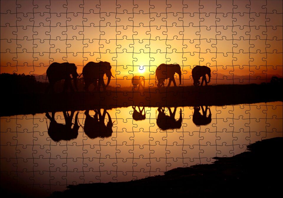 Günbatımında Nehir Kenarındaki Fil Ailesi Puzzle Yapboz MDF Ahşap 255 Parça 34 cm X 49 cm