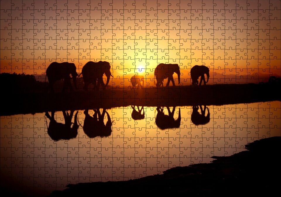 Günbatımında Nehir Kenarındaki Fil Ailesi Puzzle Yapboz MDF Ahşap 500 Parça 49 cm X 68 cm