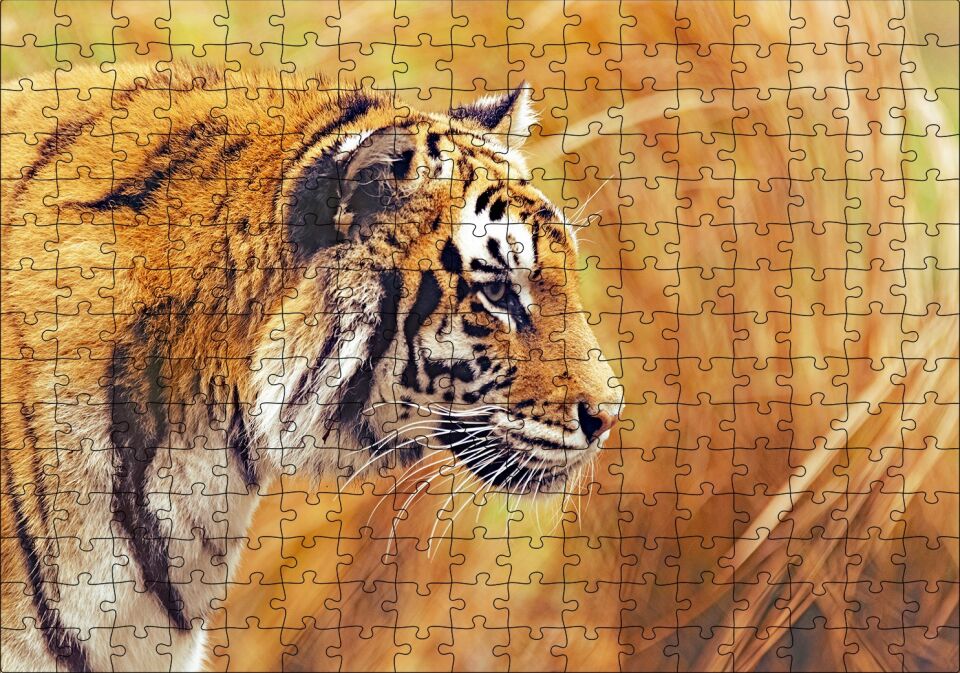 Sarı Otların Arasındaki Kaplan Puzzle Yapboz MDF Ahşap 255 Parça 34 cm X 49 cm