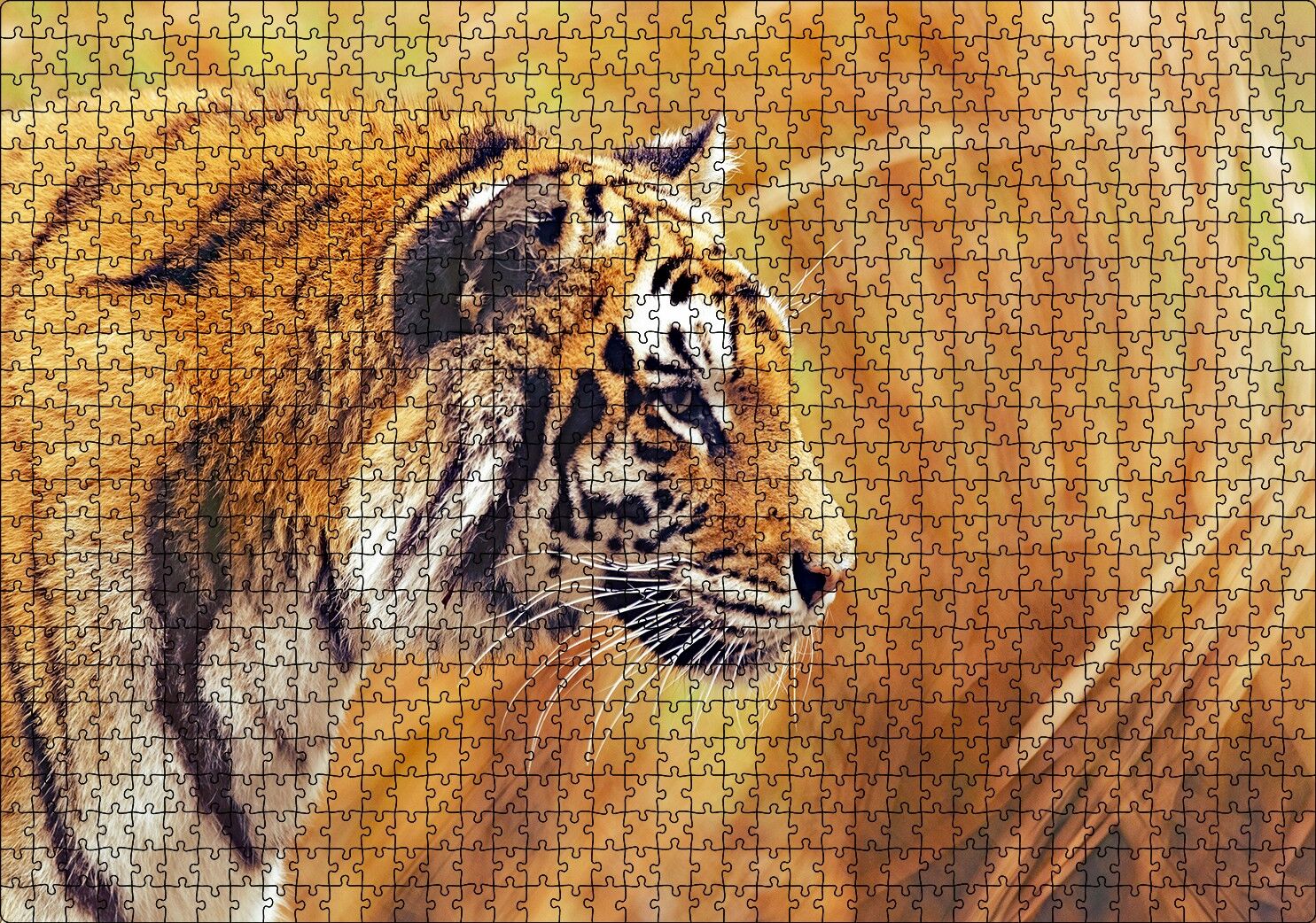 Sarı Otların Arasındaki Kaplan Puzzle Yapboz MDF Ahşap 1000 Parça 49 cm X 68 cm
