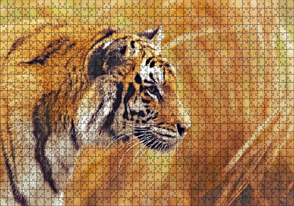 Sarı Otların Arasındaki Kaplan Puzzle Yapboz MDF Ahşap 1000 Parça 49 cm X 68 cm