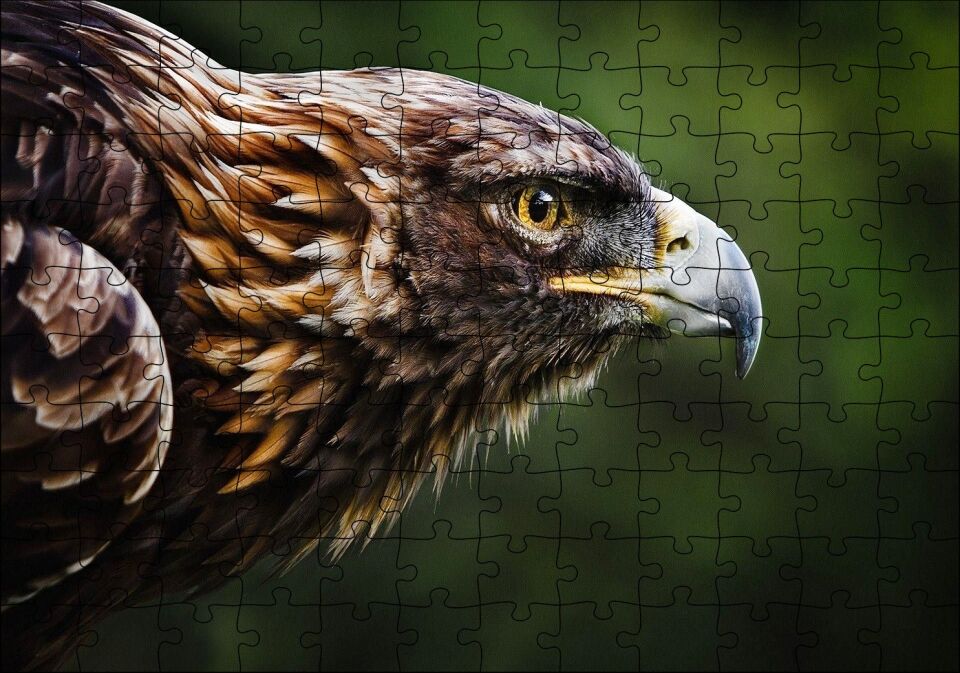 Kahverengi Kartal Keskin Bakışlar Puzzle Yapboz MDF Ahşap