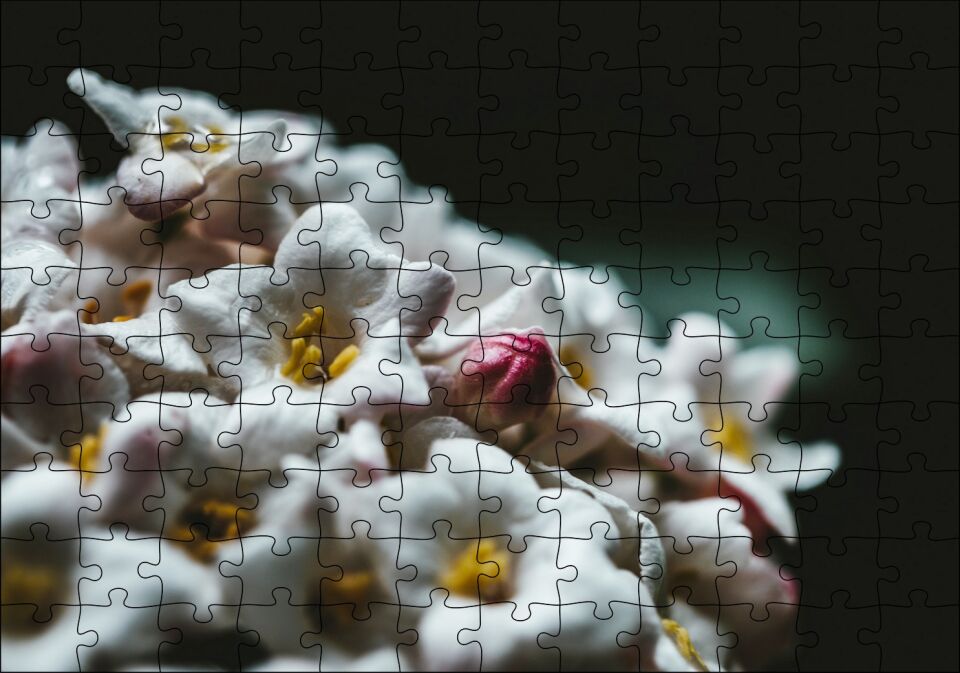 Beyaz Çiçeklerin Arasındaki Asi Pembe Puzzle Yapboz MDF Ahşap 120 Parça 24 cm X 34 cm