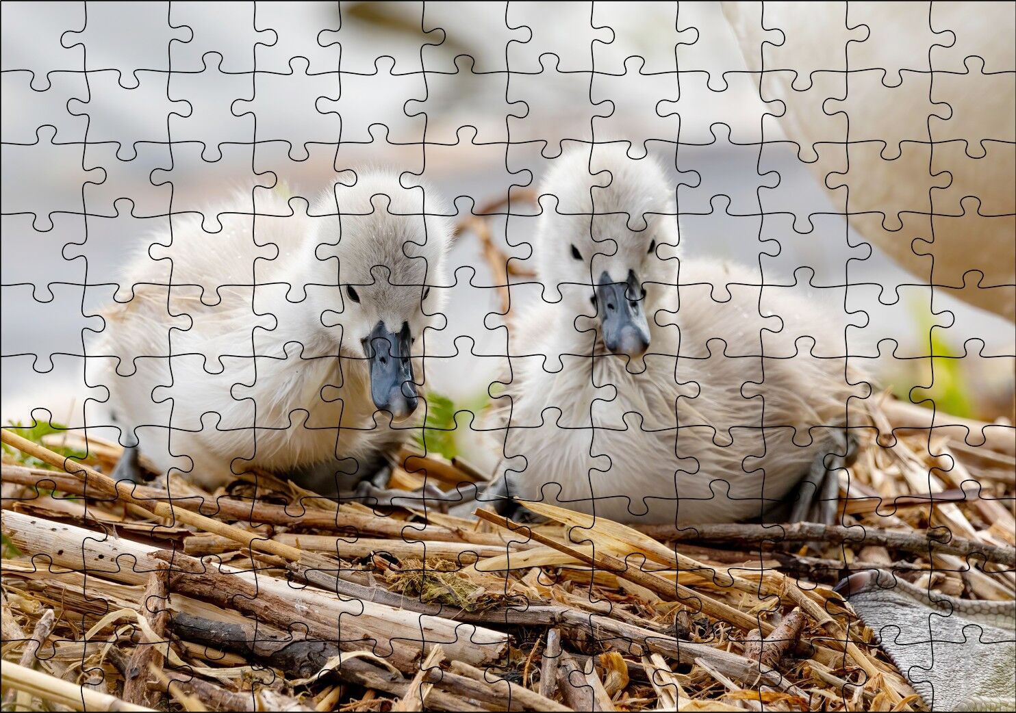 Anne Altında İki Sevimli Kuğu Yavrusu Puzzle Yapboz MDF Ahşap 120 Parça 24 cm X 34 cm