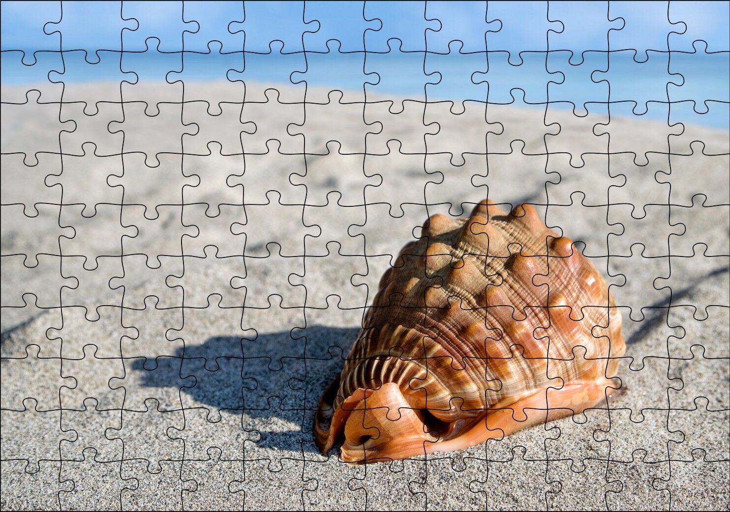 Kumsalda Dev Deniz Kabuğu Puzzle Yapboz MDF Ahşap