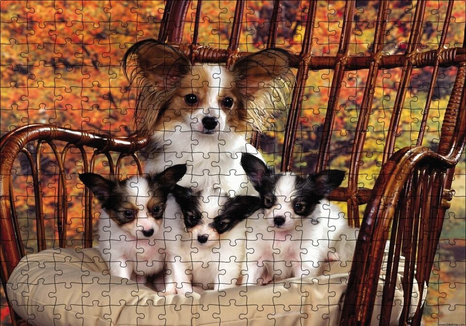 Sandalyede Yavru Köpekler Puzzle Yapboz MDF Ahşap 255 Parça 34 cm X 49 cm