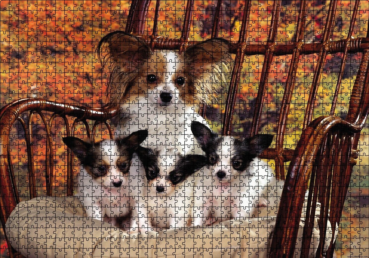 Sandalyede Yavru Köpekler Puzzle Yapboz MDF Ahşap 1000 Parça 49 cm X 68 cm