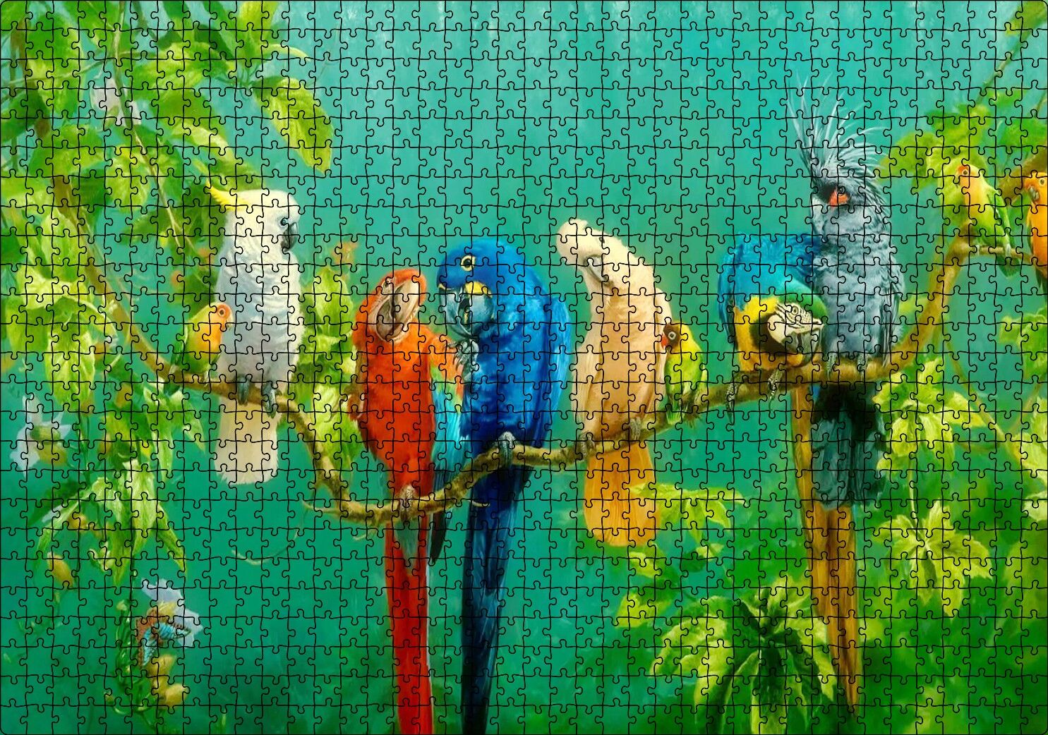 Daldaki Renkli Papğanlar Görseli Puzzle Yapboz MDF Ahşap 1000 Parça 49 cm X 68 cm
