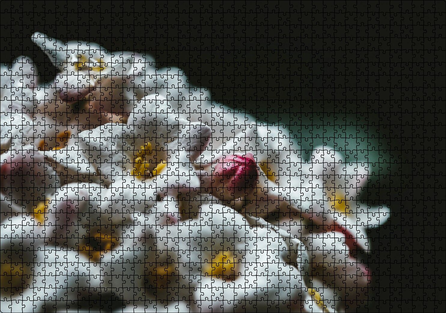 Beyaz Çiçeklerin Arasındaki Asi Pembe Puzzle Yapboz MDF Ahşap 1000 Parça 49 cm X 68 cm
